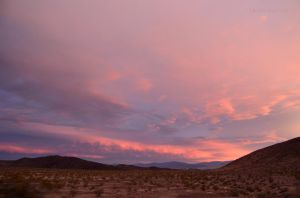 JKW_9508web Pink and Blue California Sunset.jpg